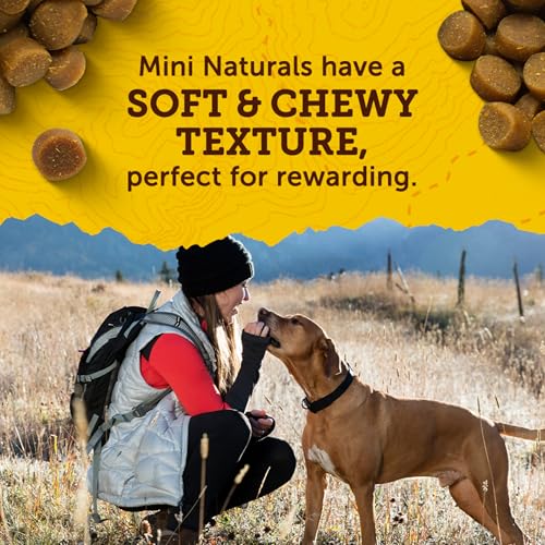 Detalle 2 de Zuke’s Mini Naturals Dog Training Treats for Dogs – Real Peanut Butter, 16 oz