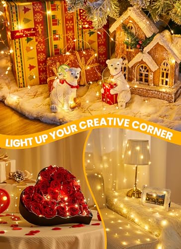 Thumbnail 1 de Bollengold 220LED Fairy Lights Mains Powered with Remote & Timer (Warm White)