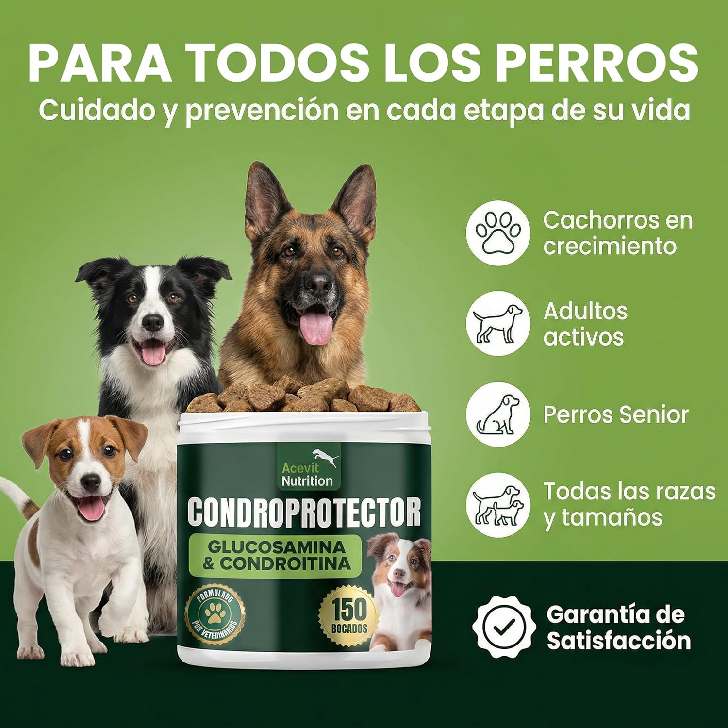 Detalle de Acevit Nutrition Condroprotector para Perros 100% Natural (150 uds) con glucosamina, condroitina y MSM
