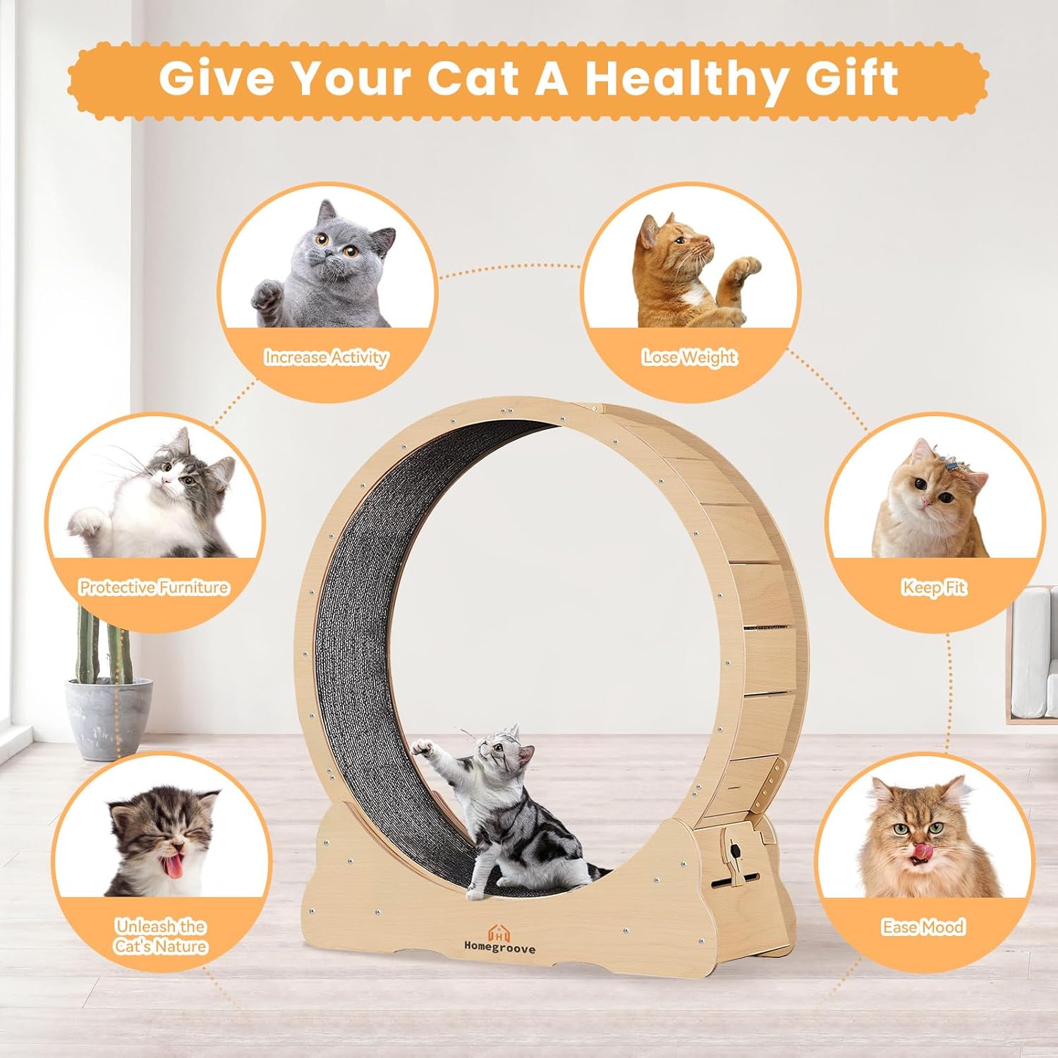 Detalle de homegroove Cat Exercise Wheel 43 inch