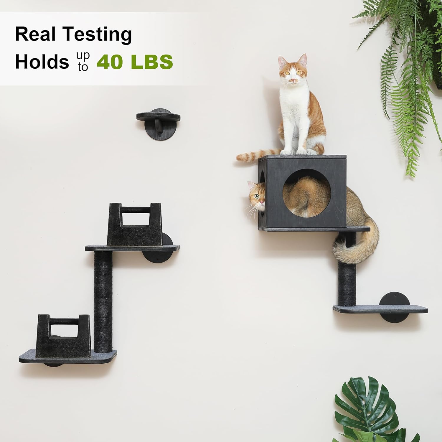 Detalle de FUKUMARU 5-Piece Cat Wall Shelves – Stable Wooden Wall-Mounted Furniture Set with Kitty Climber, Hammock, Steps, Scratching Post and Hideaway (Black)