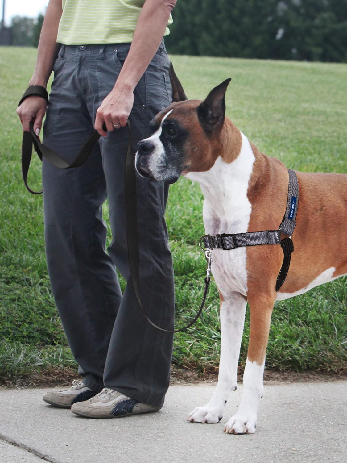 Detalle de PetSafe デラックス イージーウォークハーネス M 犬用 引っ張り防止・反射ステッチ付き