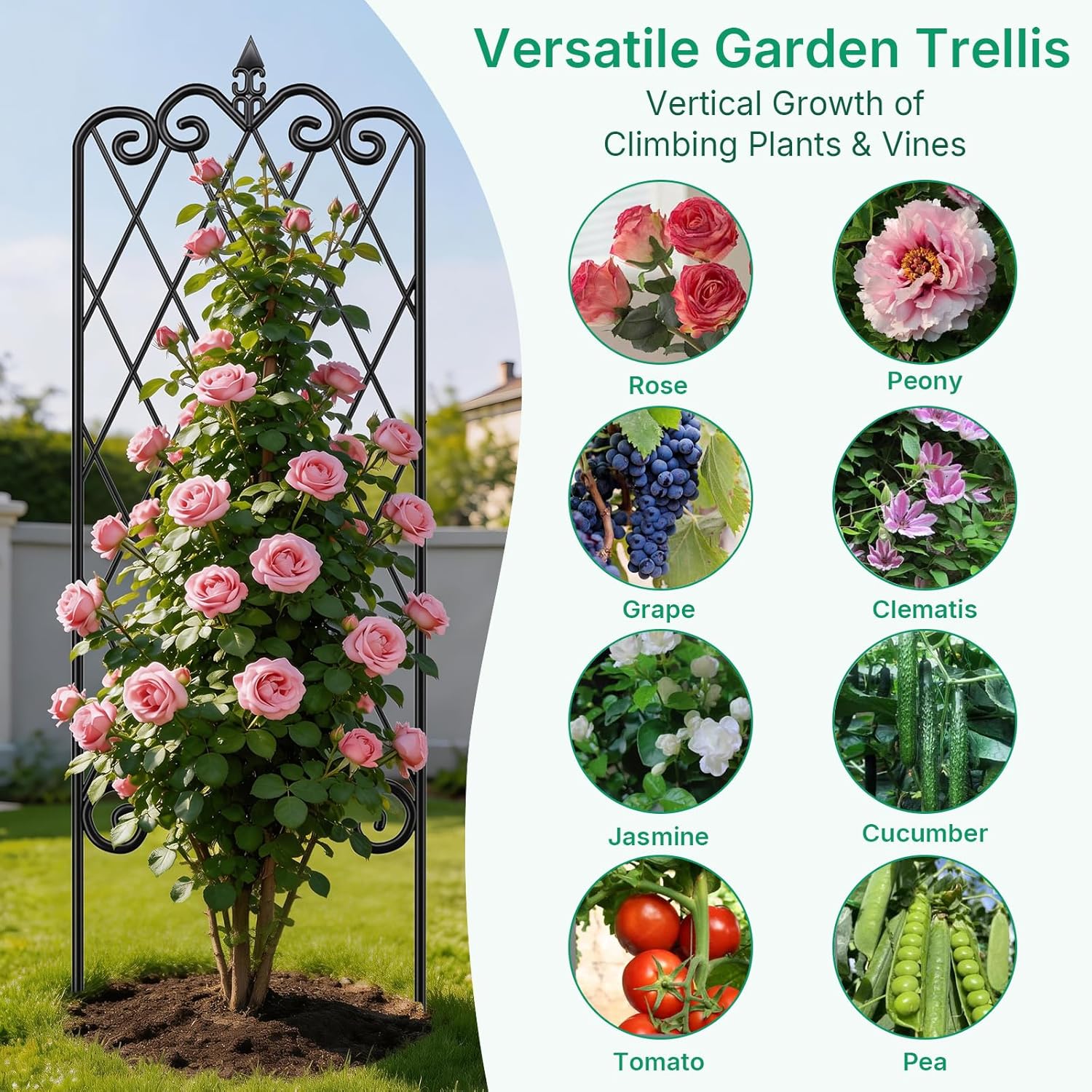 Thumbnail 5 de Amagabeli Garden Trellis, 60 x 18 Inches