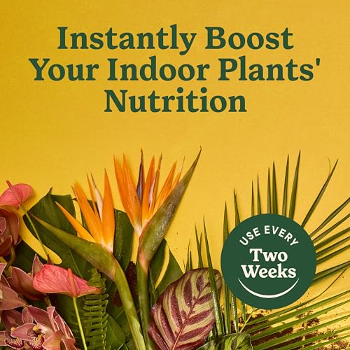 Thumbnail 6 de Miracle-Gro Indoor Plant Food for All Plants, 8 fl oz (2-Pack)