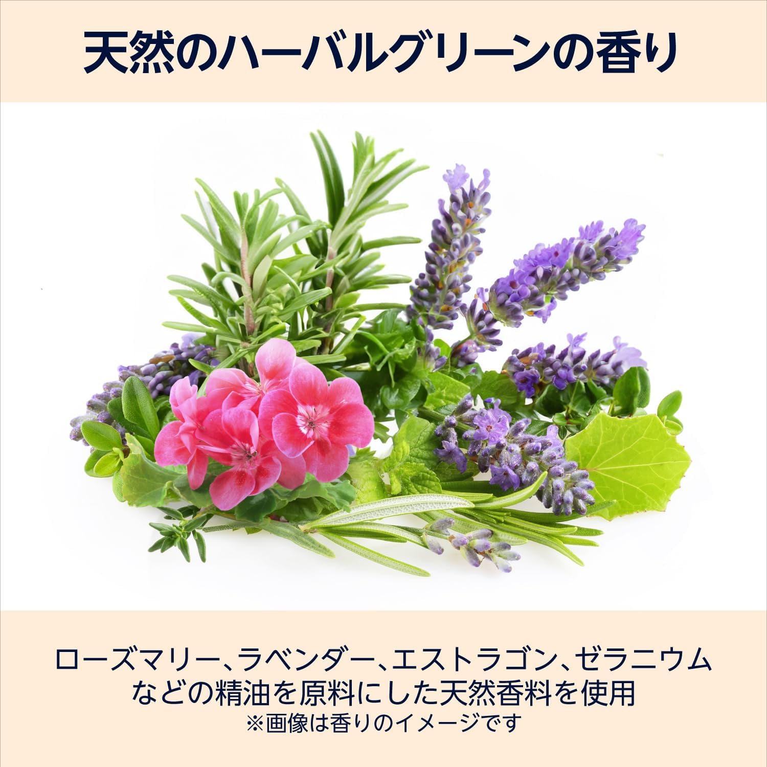 Thumbnail 3 de by Amazon パックス ナチュロン 泡タイプボディソープ詰替用 900mL