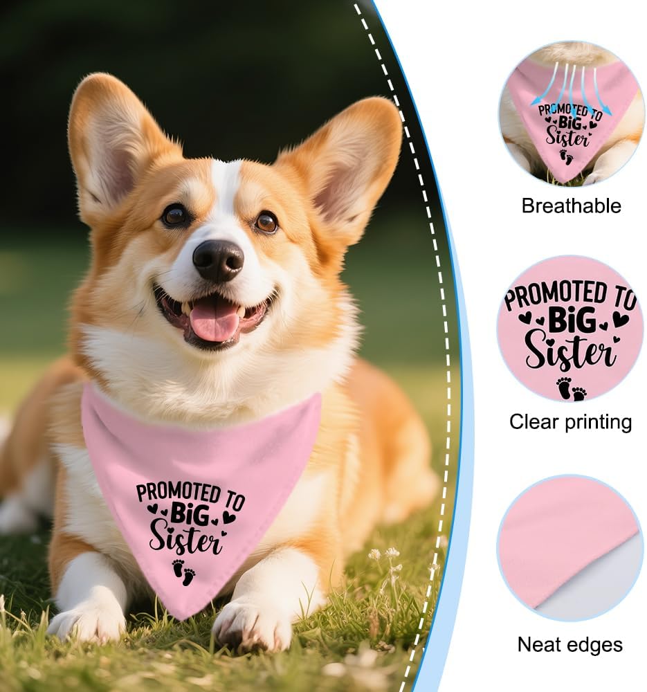 Detalle de Vgrti Dog Bandana, Polyester