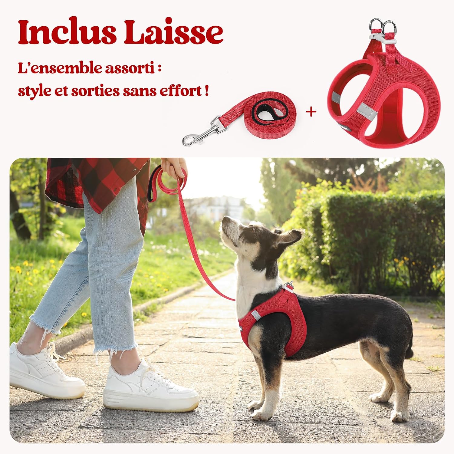 Thumbnail 5 de Harnais Chien Petite Taille avec Laisse Réfléchissant de rabbitgoo – Rouge S