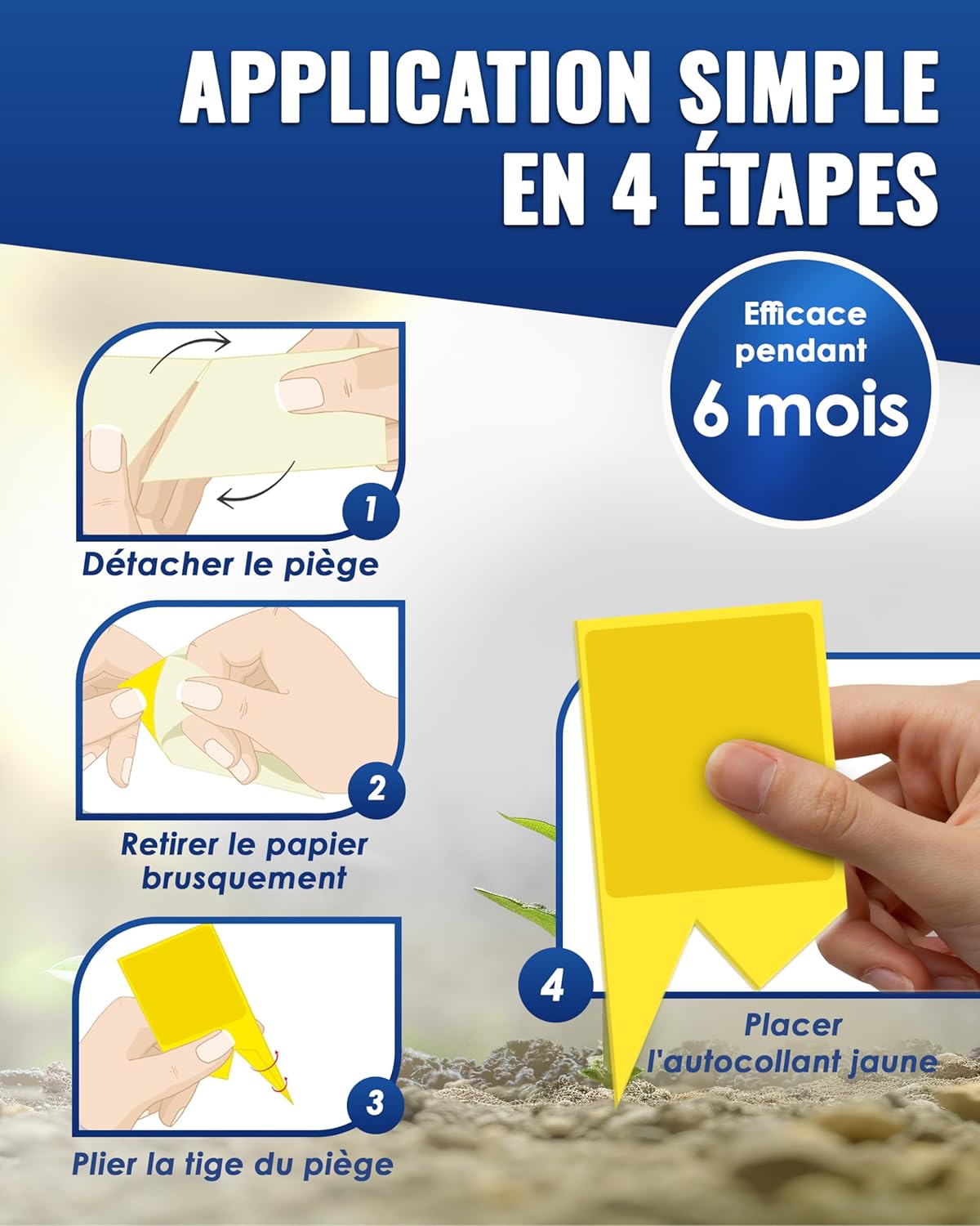 Thumbnail 4 de PIC Piège anti-moucherons pour plantes d’intérieur (60 pièges adhésifs recto-verso)