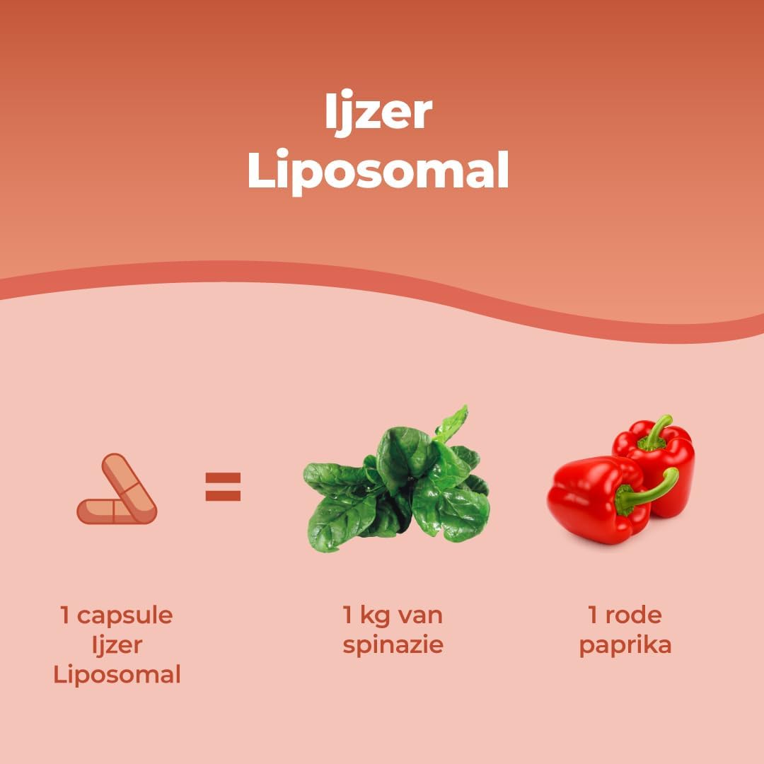 Detalle 2 de BANDINI Liposomaal IJzercomplex 30 mg, met vitamine C, B12, B6, A en foliumzuur