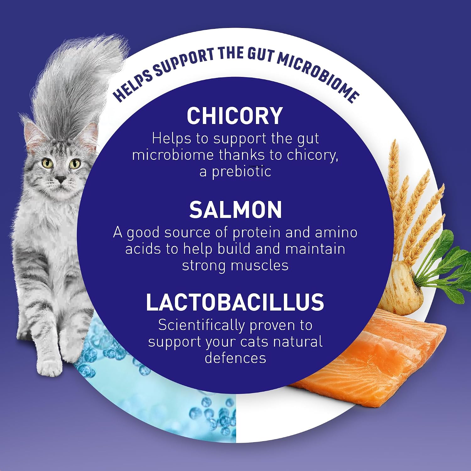 Detalle de Purina One Salmon Dry Cat Food 800g (Pack of 4) – Adult Cat Nutrition