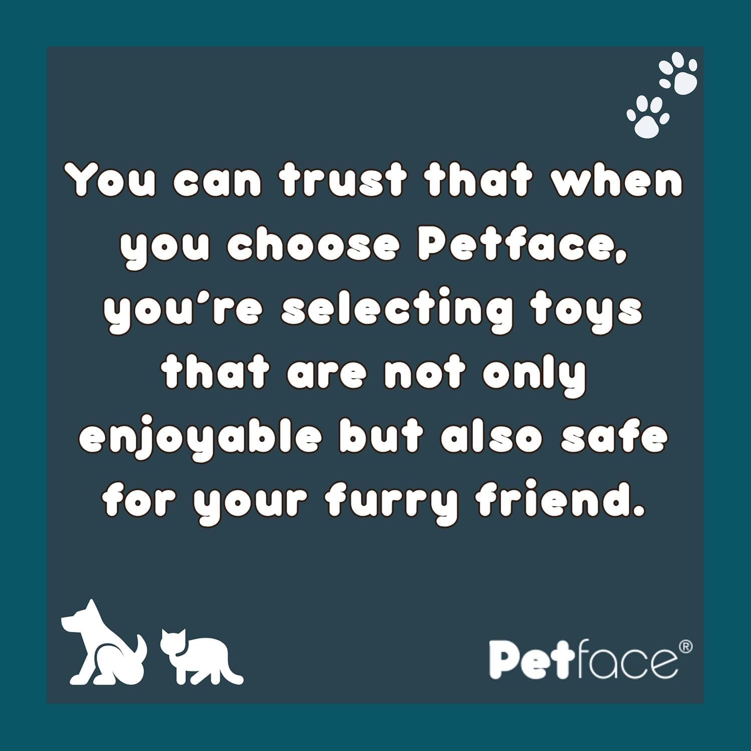 Thumbnail 5 de Petface Squeaky Tennis Balls for Dogs (Pack of 3) – All Breed Sizes