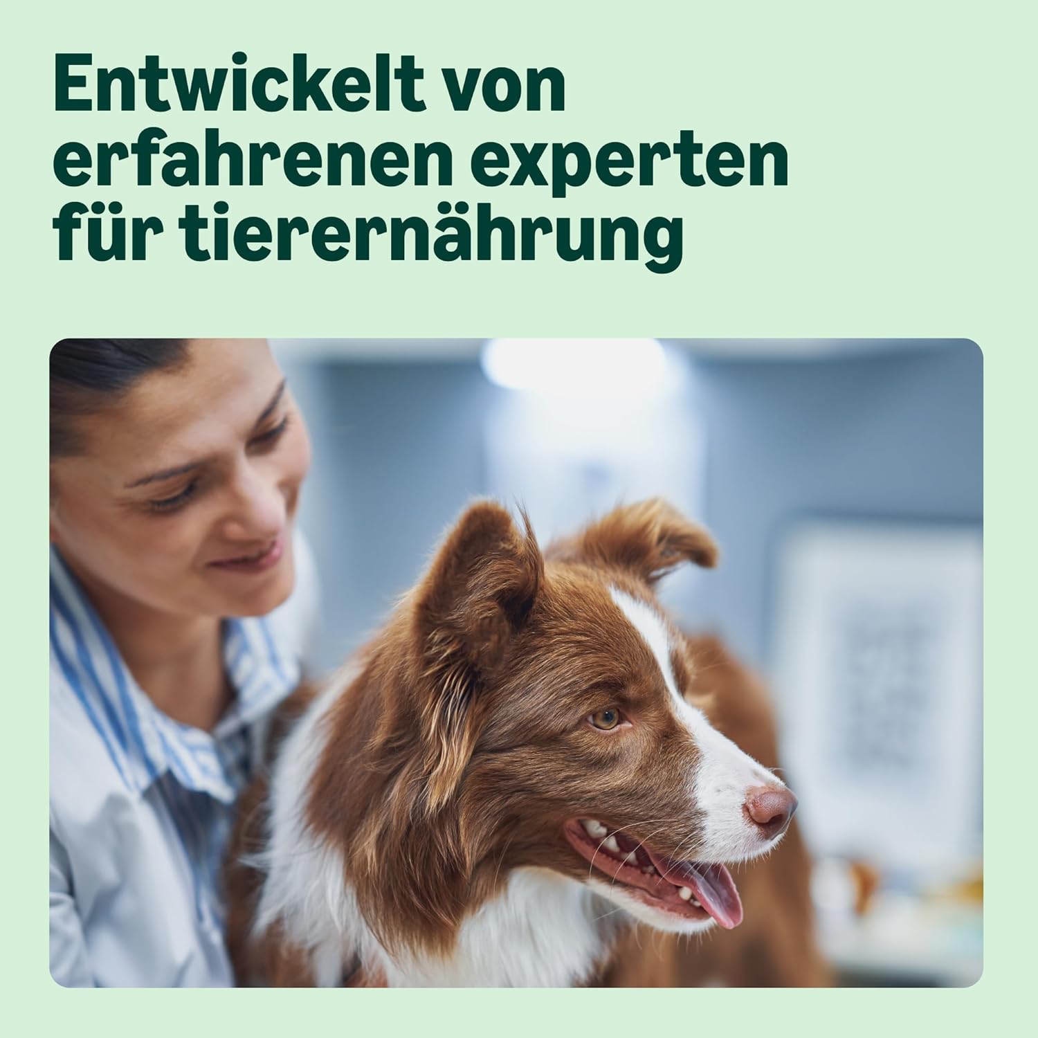 Detalle de Hundefutter Für Ausgewachsene Hunde Aller Rassen – Lachs & Reis, Fein Zubereitetes Trockenfutter, 15 kg (1er-Pack)