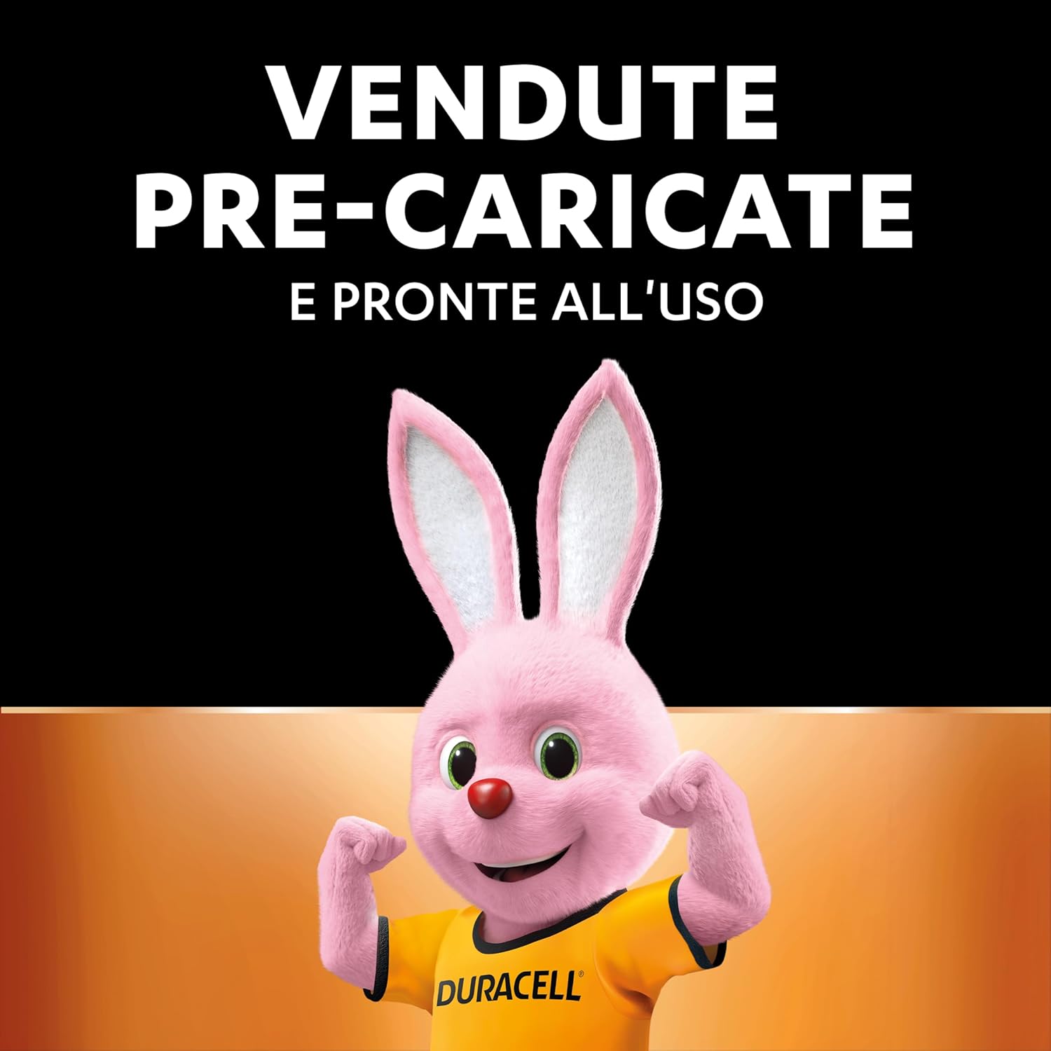 Thumbnail 6 de Duracell AA Ricaricabili 2500 mAh NiMH (4 pezzi) – pre-caricate, lunga durata