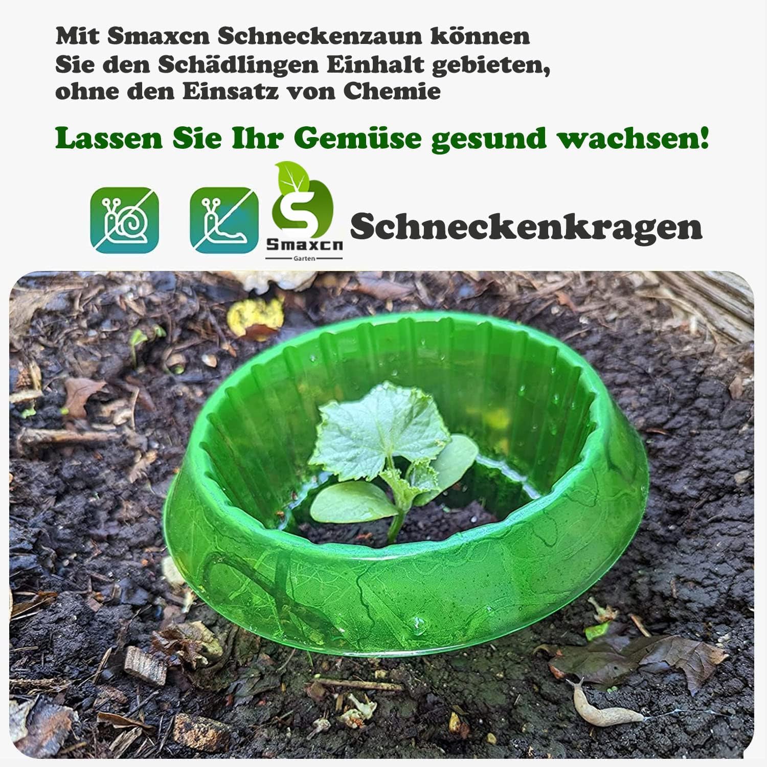 Thumbnail 5 de Smaxcn Schneckenkragen – 15 Stück Schneckenkragen, Schneckenbarriere aus PET, ohne Chemie