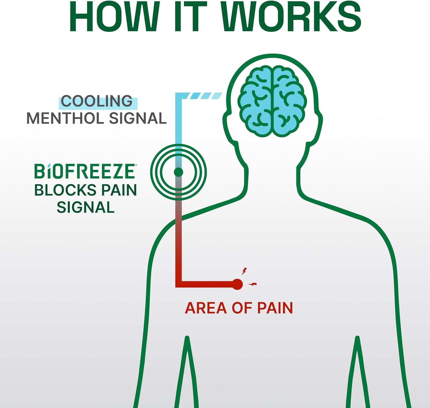 Detalle 2 de Biofreeze Professional 13416 Pain Relief Roll-On Gel, 3 fl oz Menthol