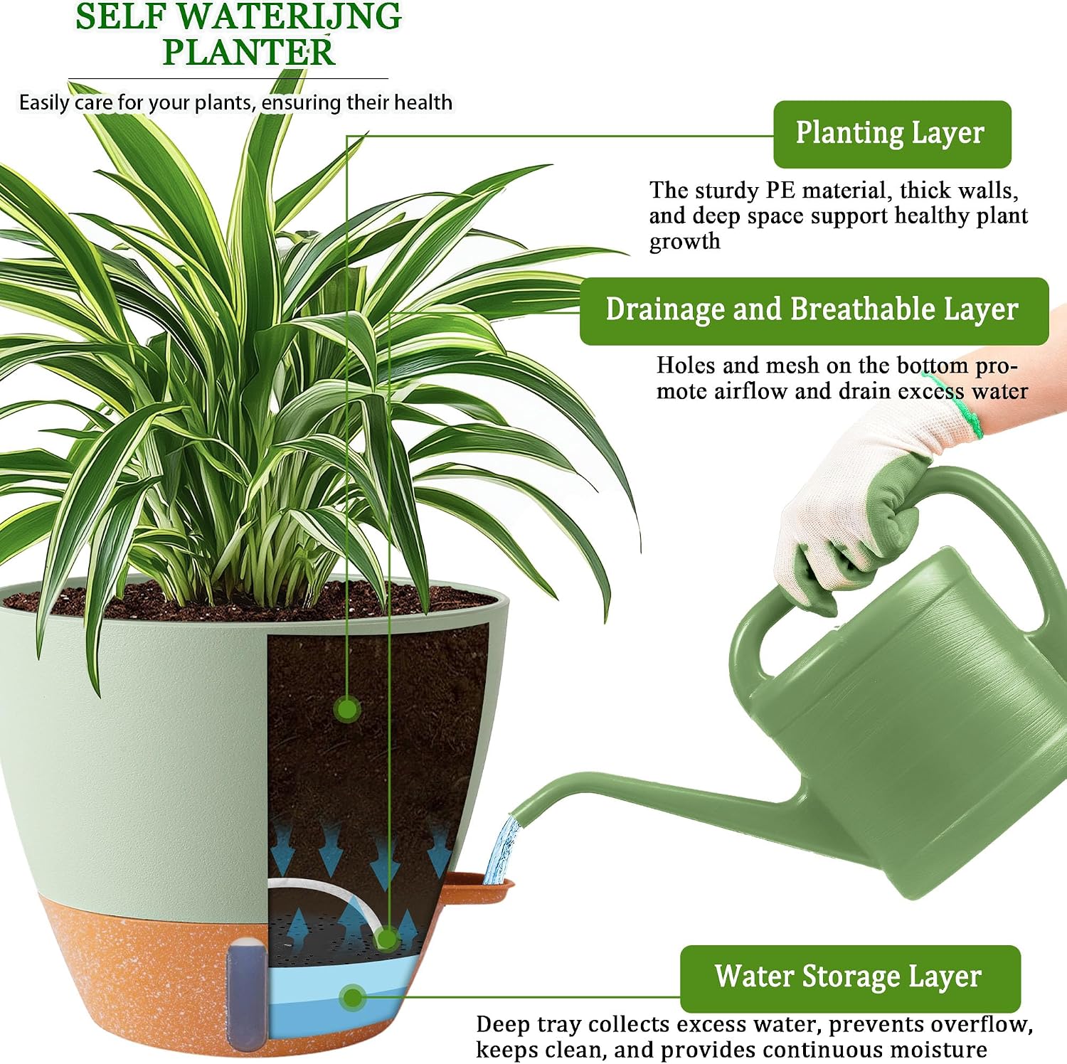 Thumbnail 6 de Fielda 8/10/12-Inch Self-Watering Planters, Green Plastic Pots with Water-Level Indicator