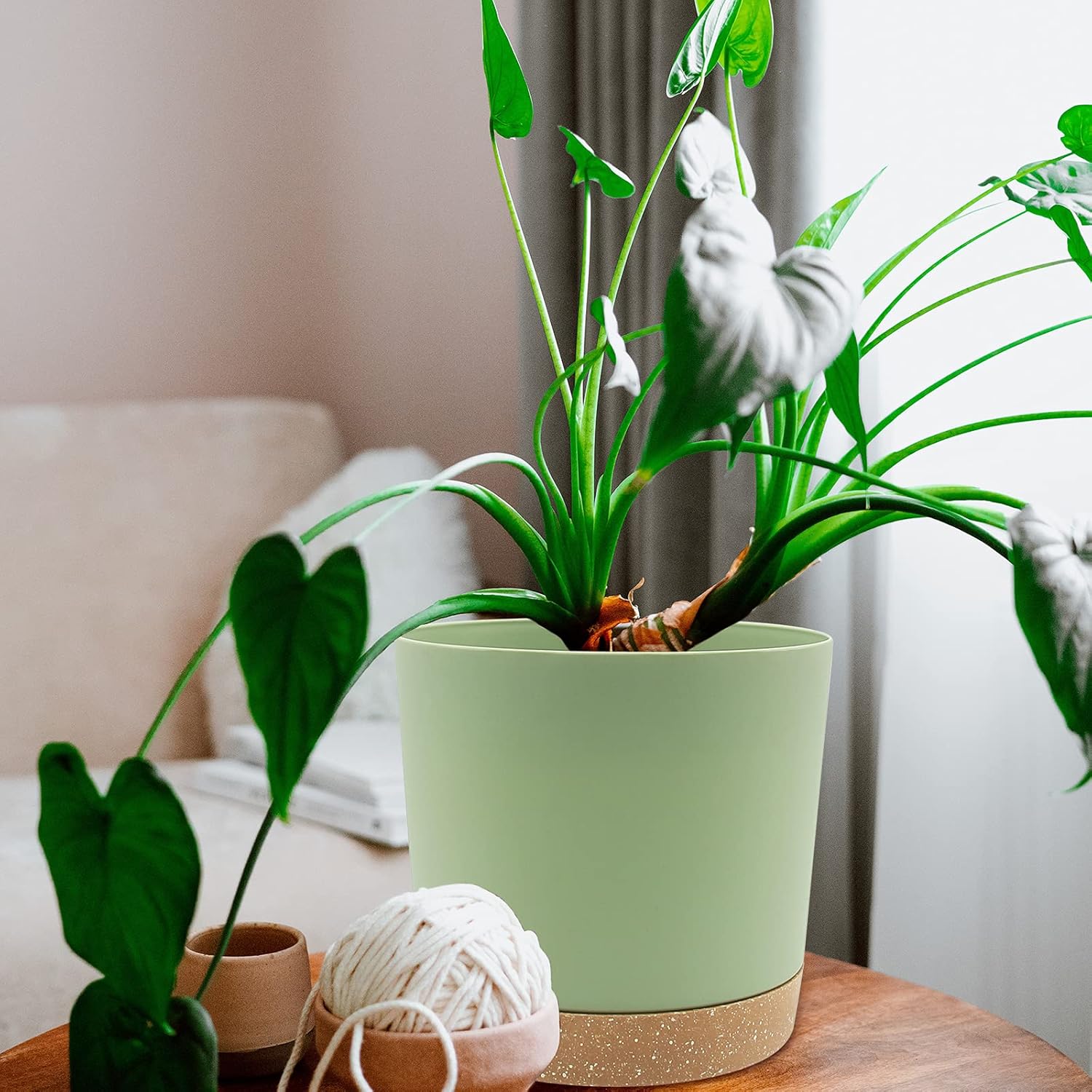 Thumbnail 5 de QCQHDU 20cm Plant Pot (2-Pack) with Drainage Holes & Saucer, Green