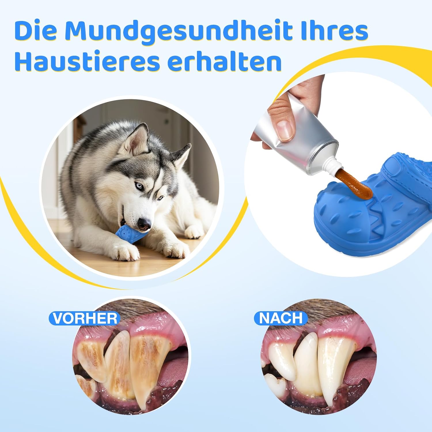 Detalle de RUXAN Hundespielzeug aus Naturkautschuk – Aggressives Kauen, 17 × 7,5 × 6,5 cm, für Kleine bis Große Hunde (Blue)