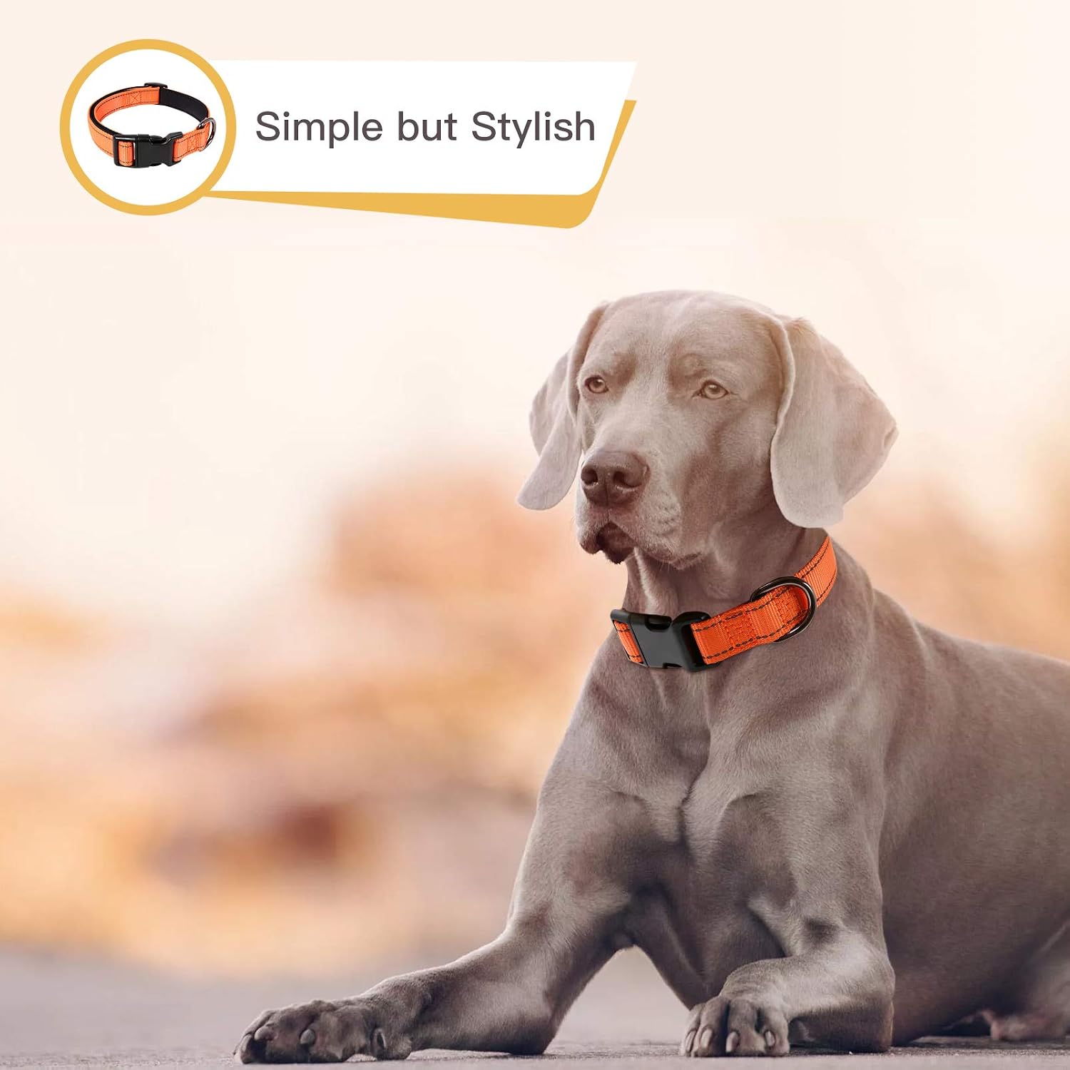 Thumbnail 1 de HEELE reflective dog collar with soft neoprene padding (Orange, size L 40–66cm)