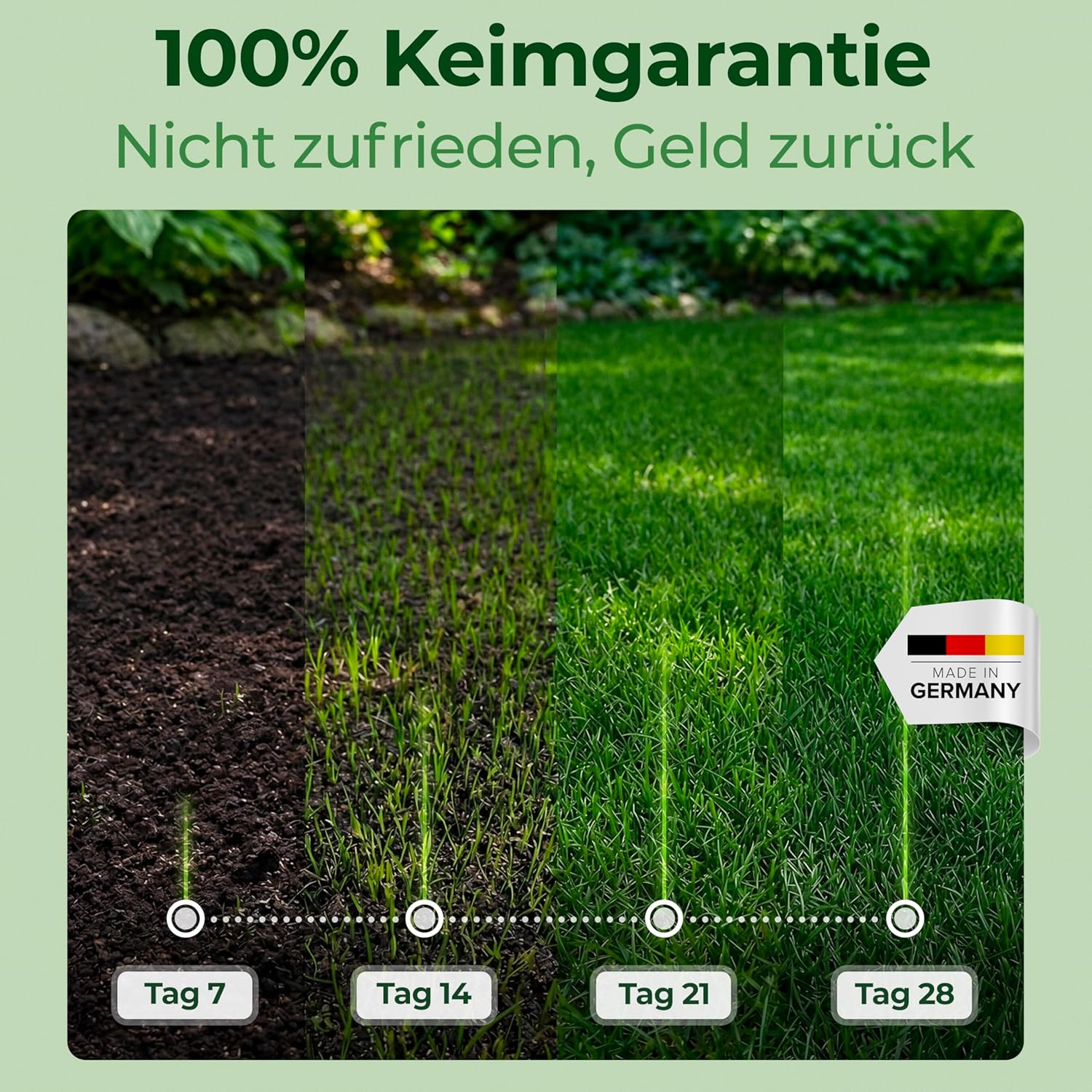 Detalle de Schattenrasen Rasensamen 1 kg – dichte Grasmischung für schattige Flächen