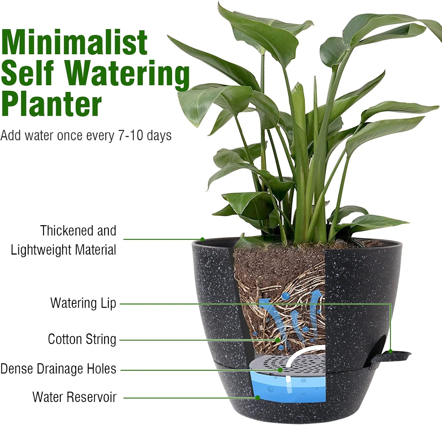 Detalle 1 de WSMKSZ Self-Watering Planters, 10-Inch