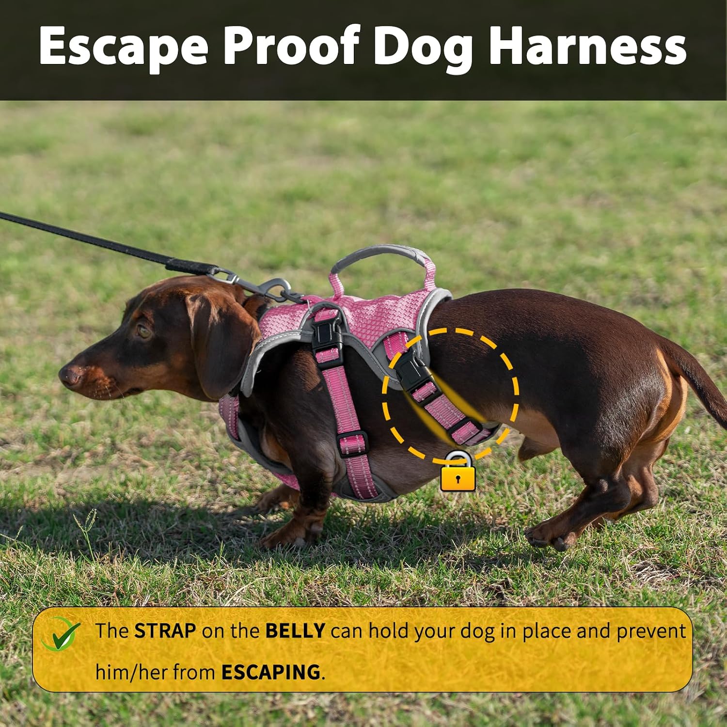 Detalle 2 de Huntboo Dog Harness, Size M