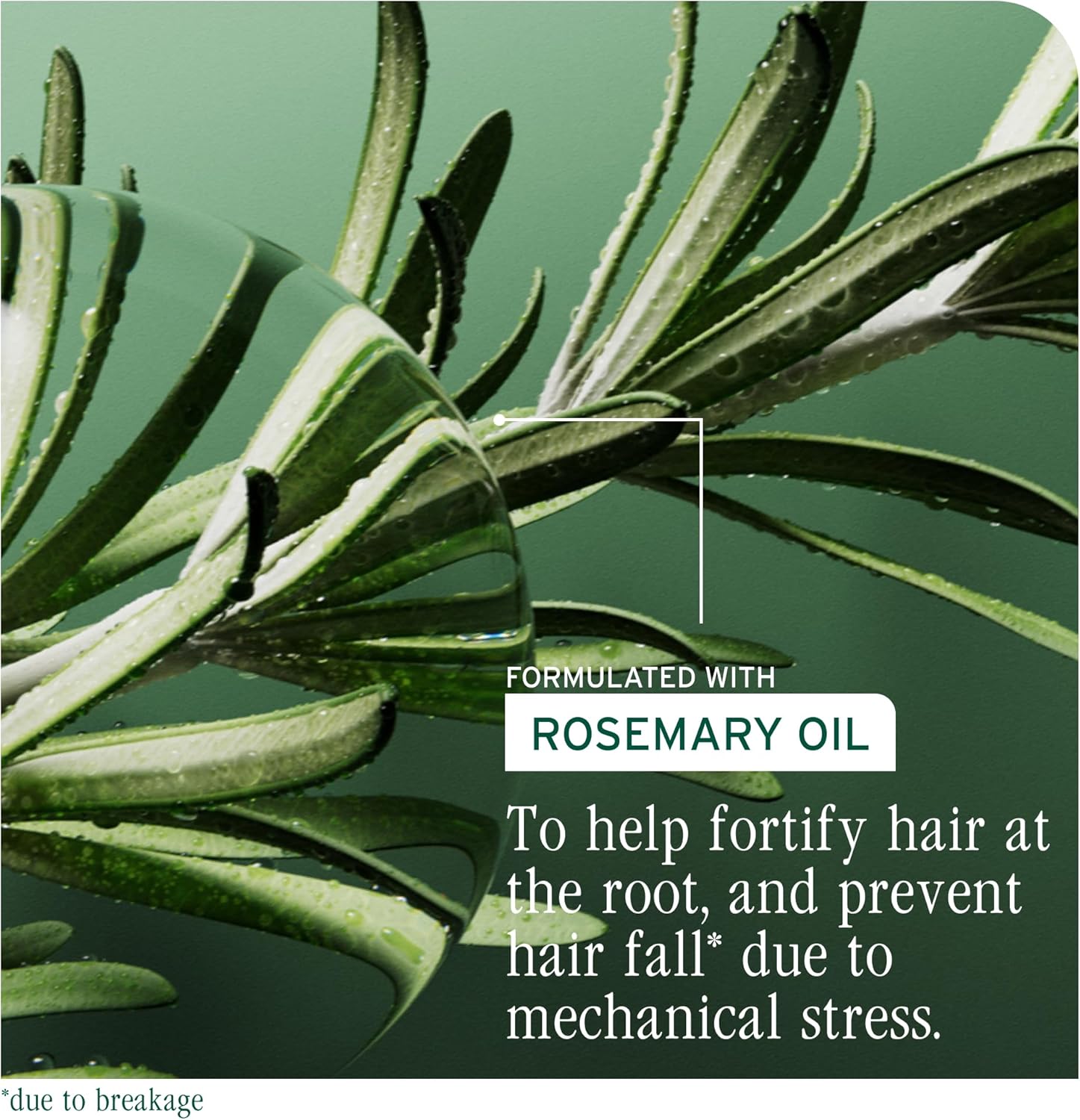 Thumbnail 5 de Biolage Full Rescue Fortifying Shampoo (400ml) with rosemary oil & niacinamide