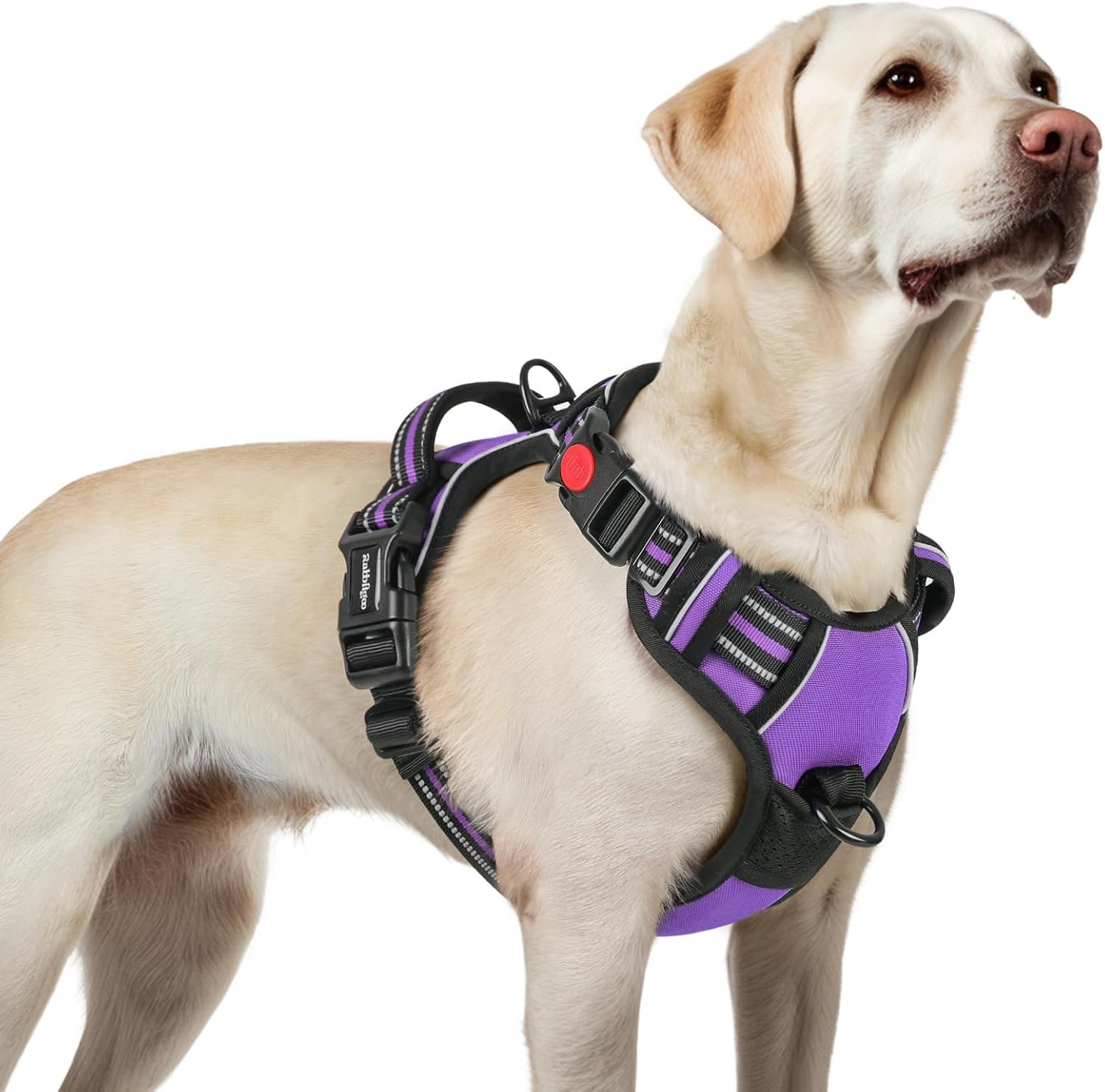 Detalle de rabbitgoo DGBDSCKK01LPE24CW-EU Dog Harness, Large Purple, 3 Buckles
