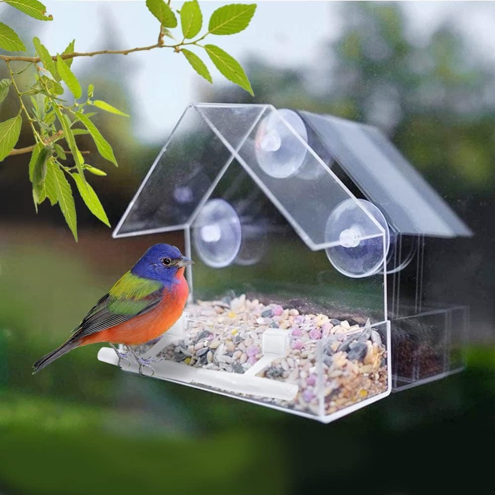 Detalle 2 de WLLKOO Window Bird Feeder 2 pack 5.9in 🐦
