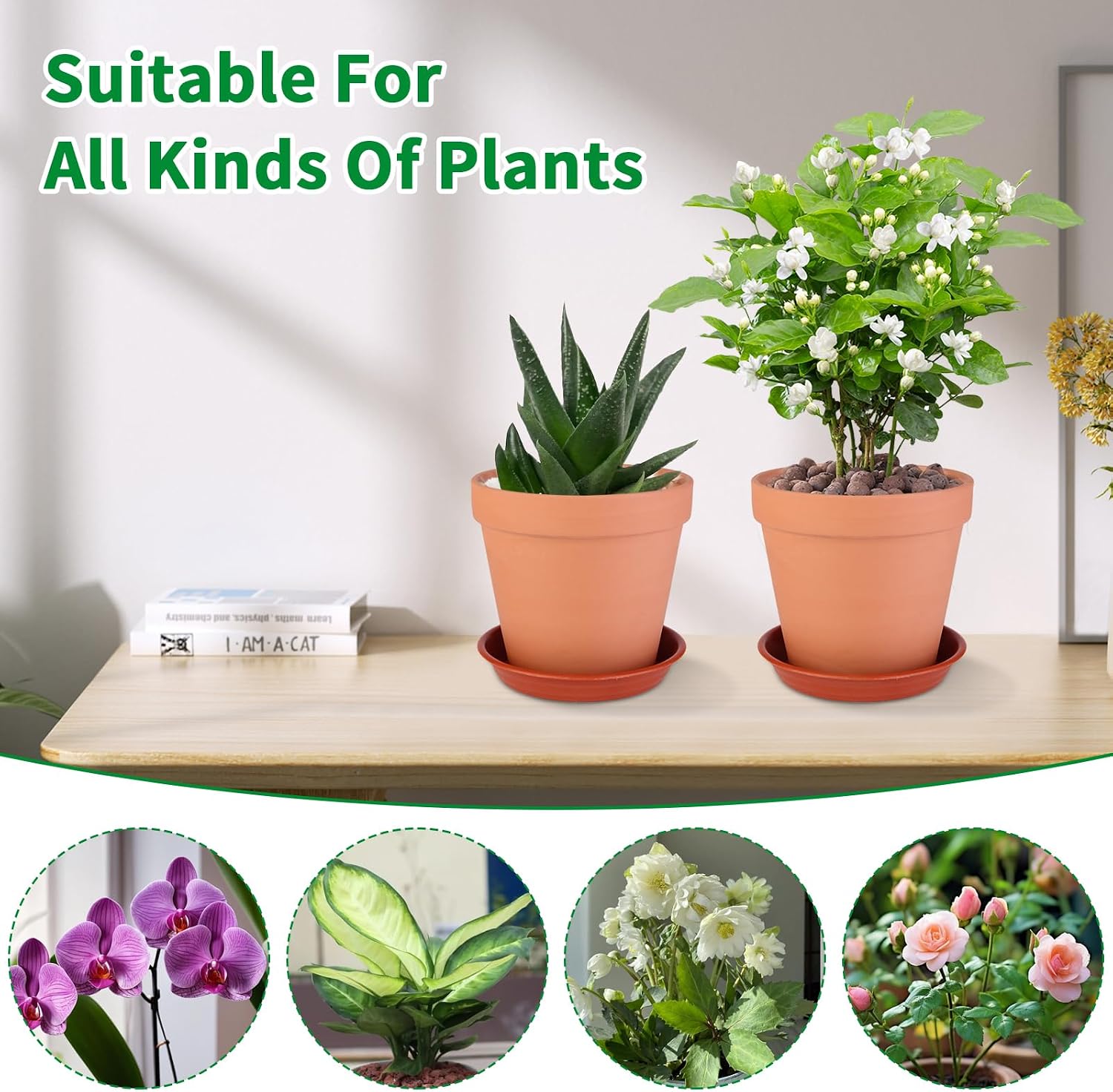 Detalle de Tuqaumu Pot-6in 6-Inch Terracotta Plant Pots, 6-Pack with Saucers