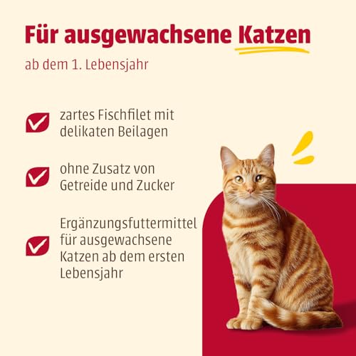 Detalle de animonda Carny Adult Ocean Meeresvielfalt Nr. 1 – Nassfutter für ausgewachsene Katzen (12 x 80 g)