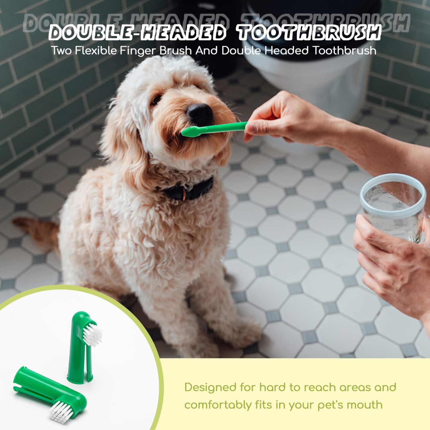 Detalle 2 de Nobleza Set Dentaire pour Chien — Brosse à Dents Double Face, Dentifrice Antitartre & Accessoires (73 g, 2 Doigtier)