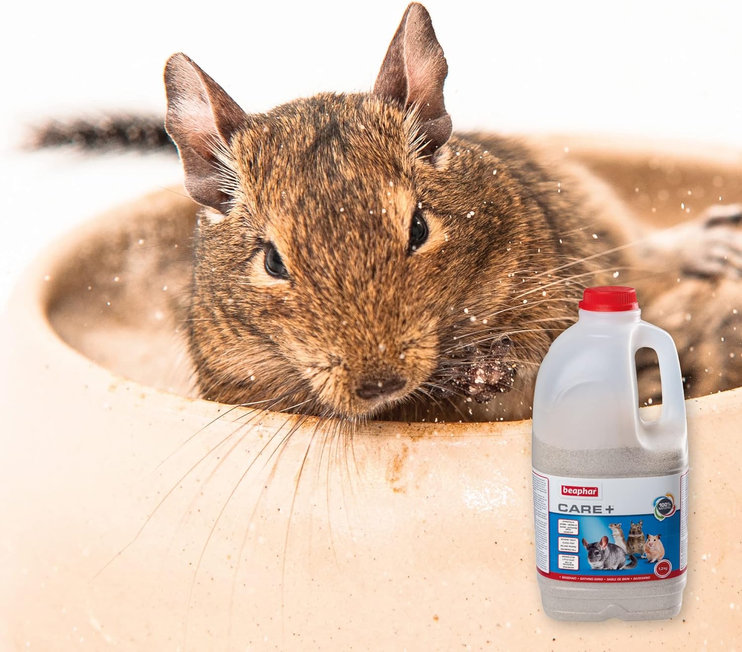 Detalle de Beaphar Care+ Arena de Baño para Chinchillas y Roedores - 1,3 kg