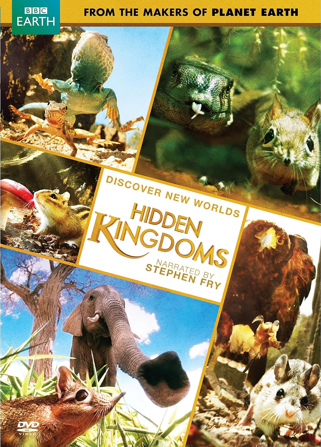 Detalle de Hidden Kingdoms 29086783 Nature Documentary DVD, NTSC, 3-Hour Runtime