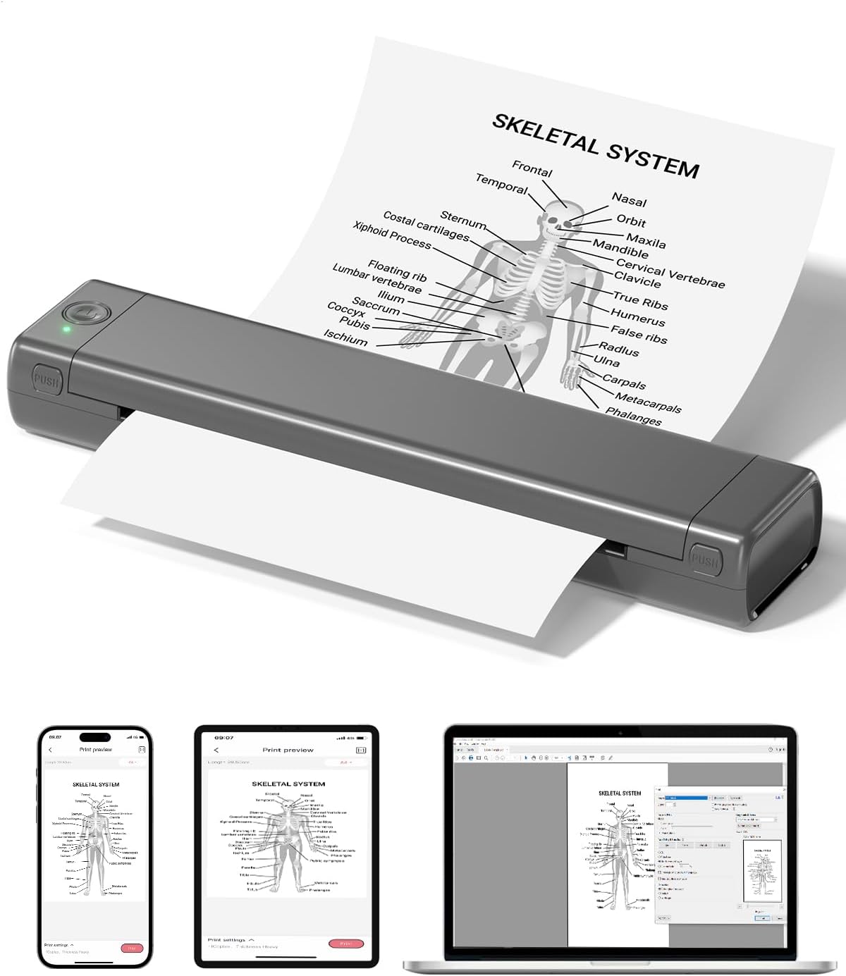 Detalle de Phomemo M08F Bluetooth Thermal Printer (Inkless) – portable wireless printer for phones and laptops