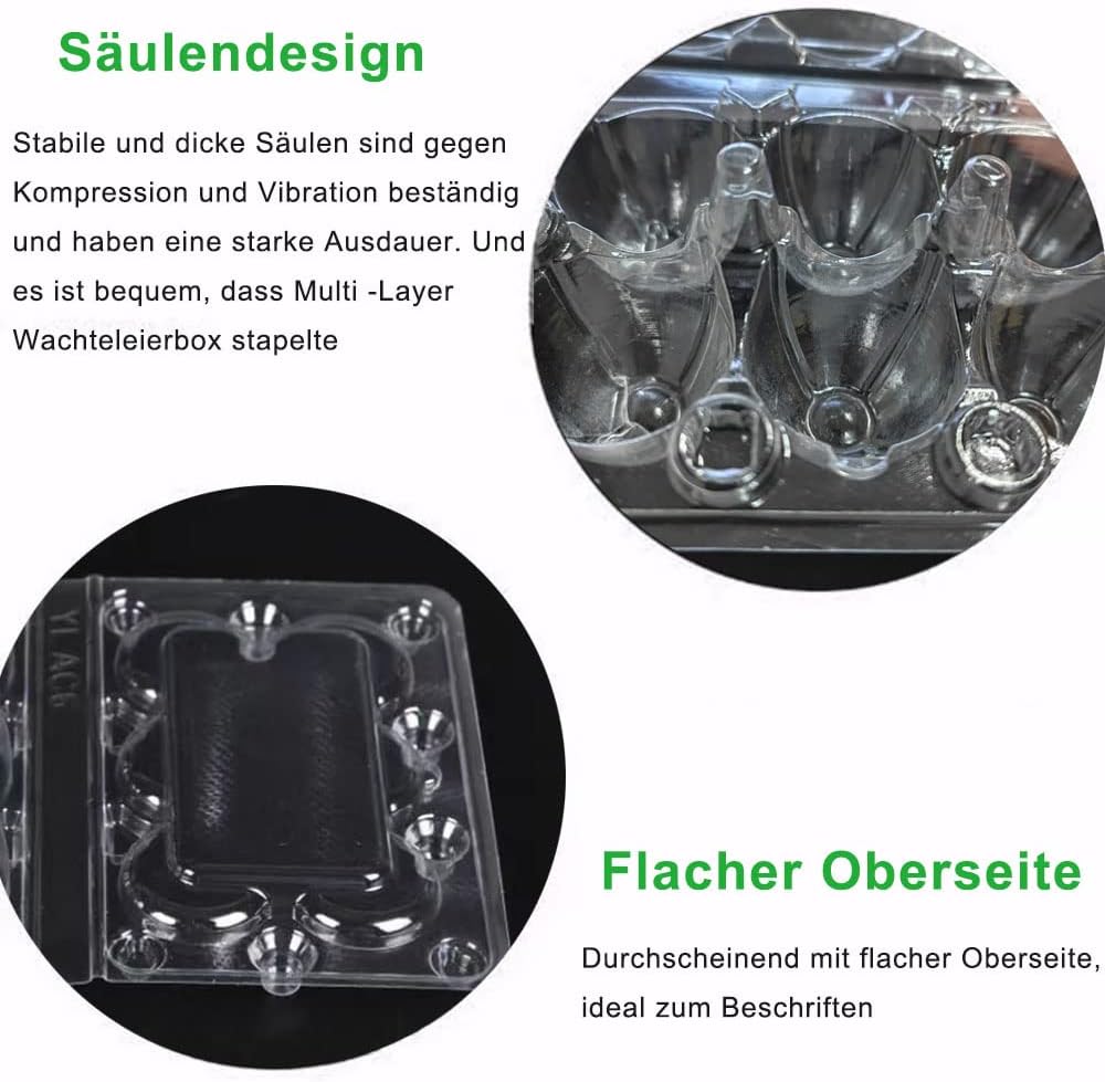 Detalle de Qikaara 50er Set Wachteleierschachteln aus Kunststoff (6 Gitter) – transparente Quail-Egg-Kartons