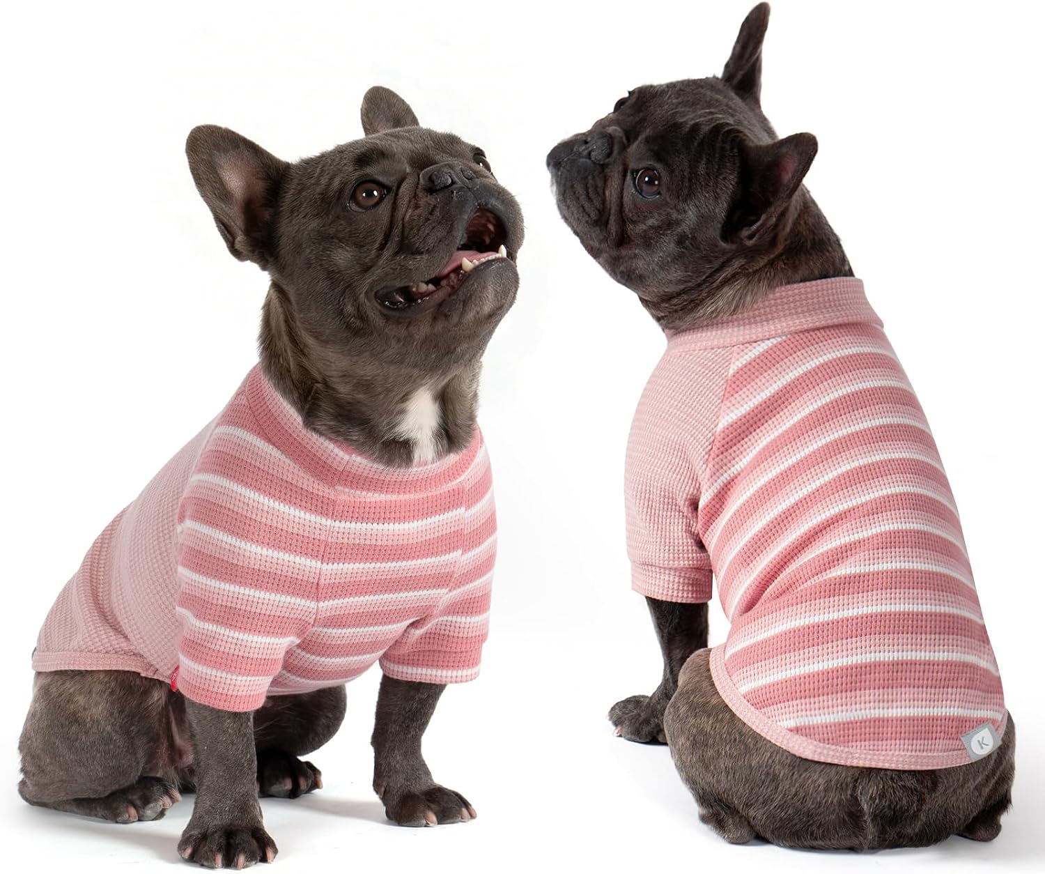 Detalle de KYEESE Dog Shirt in Waffle Knit