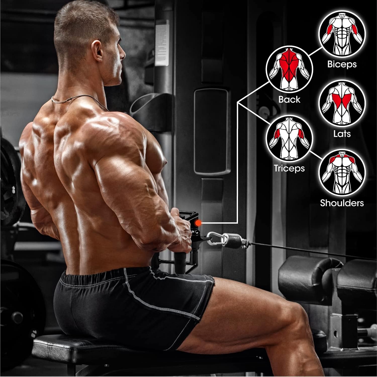 Detalle de Yes4All Corde à triceps, barre en forme de V et barre rotative – ensemble de fixation pour machine à câble