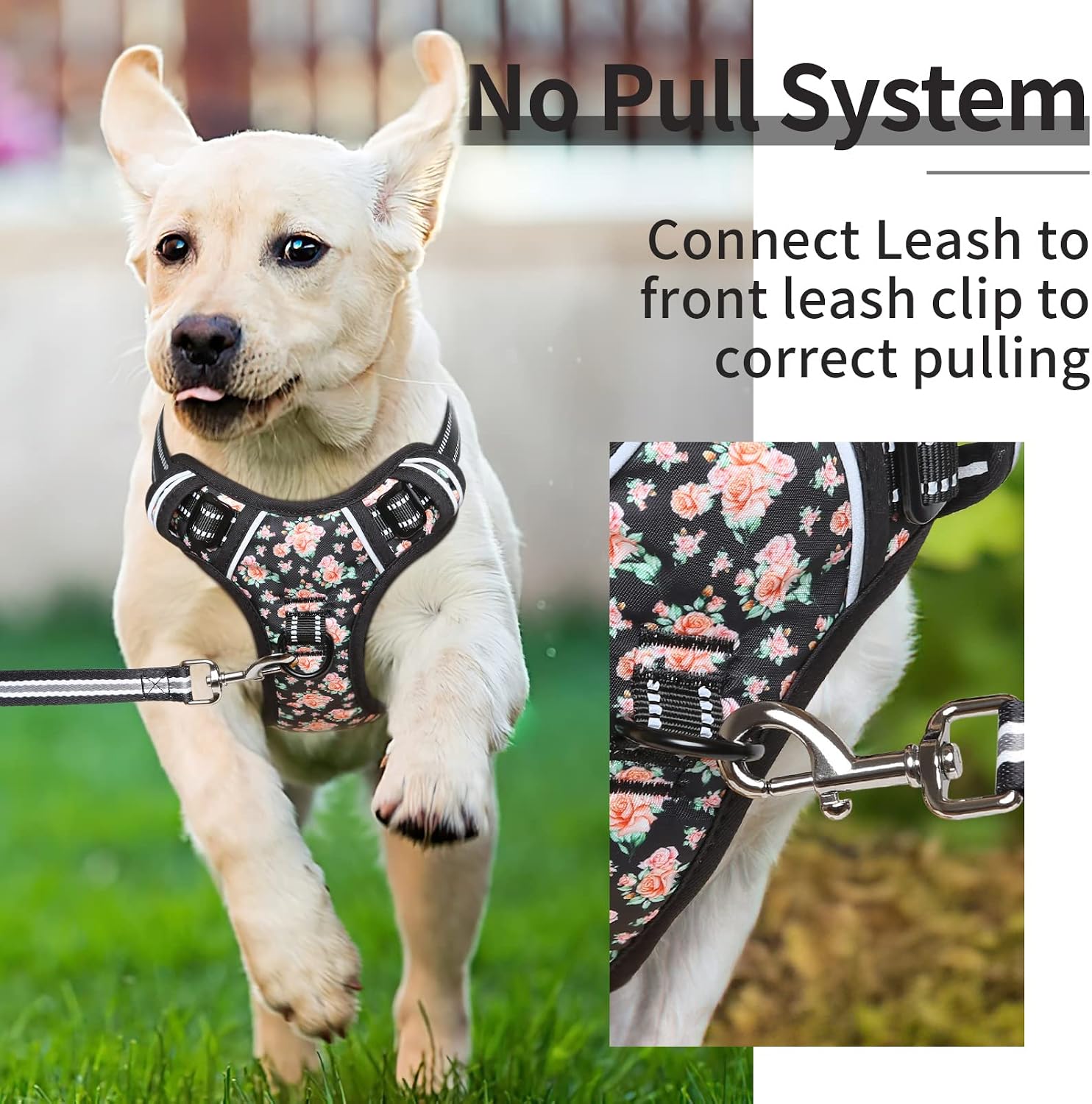 Detalle de HEELE dog harness, reflective, Size L