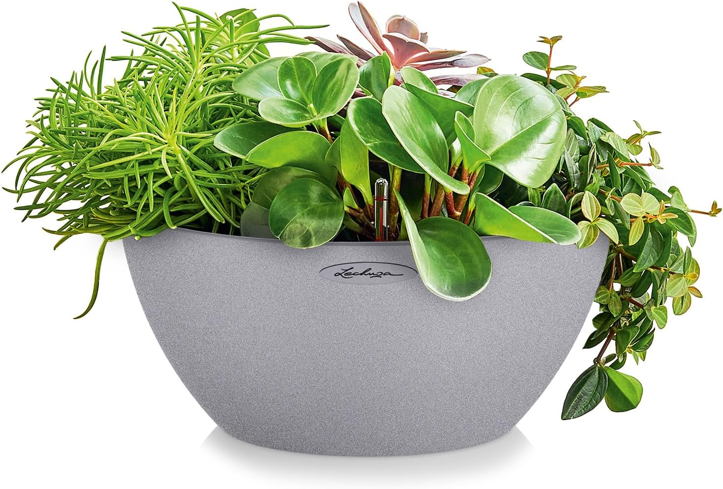 Detalle de Lechuza Stone Cubeto – Pot d’extérieur et d’intérieur avec réservoir d’eau intégré Ø30 cm