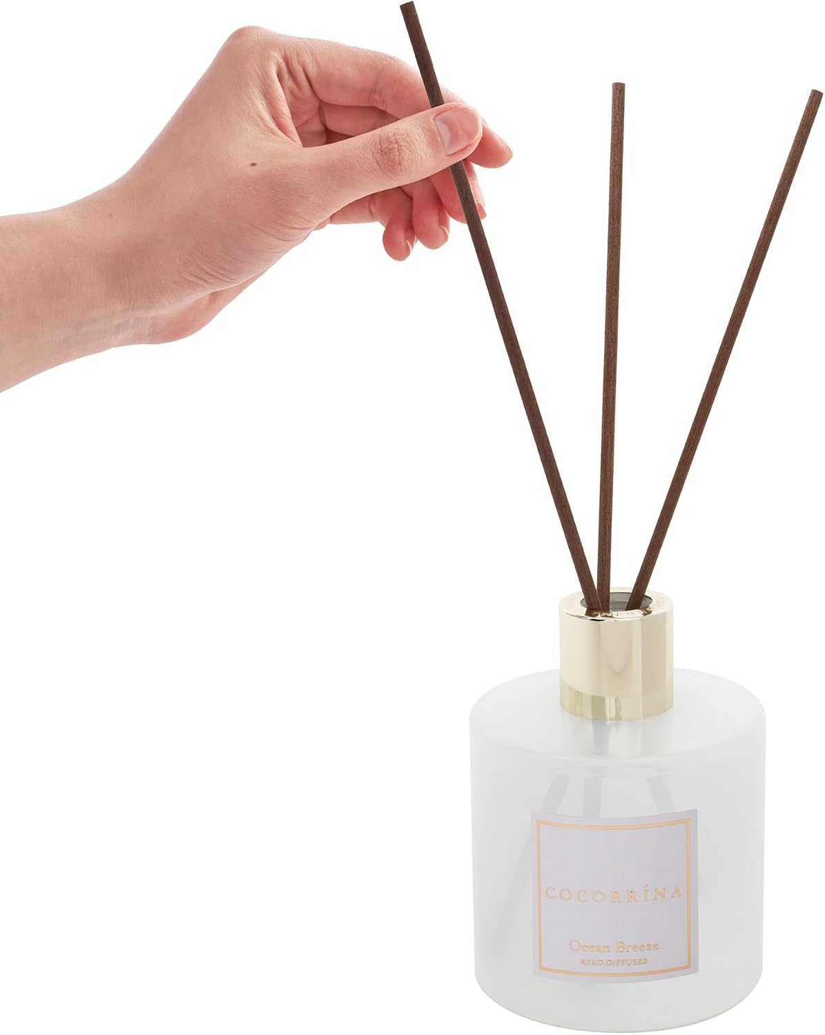 Detalle 2 de COCORRÍNA Ocean Breeze Reed Diffuser – Gardenia, Amber & Cashmere Wood Aroma