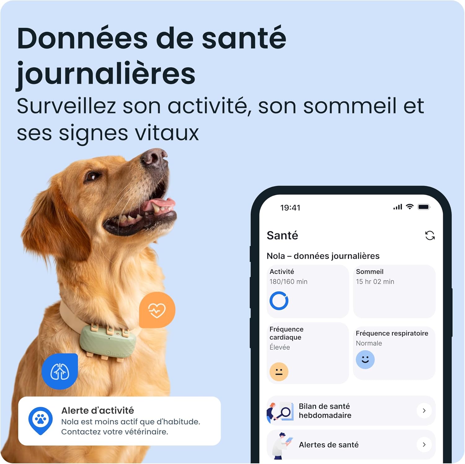 Thumbnail 2 de Tractive Collier GPS XL 1 mois 🐕