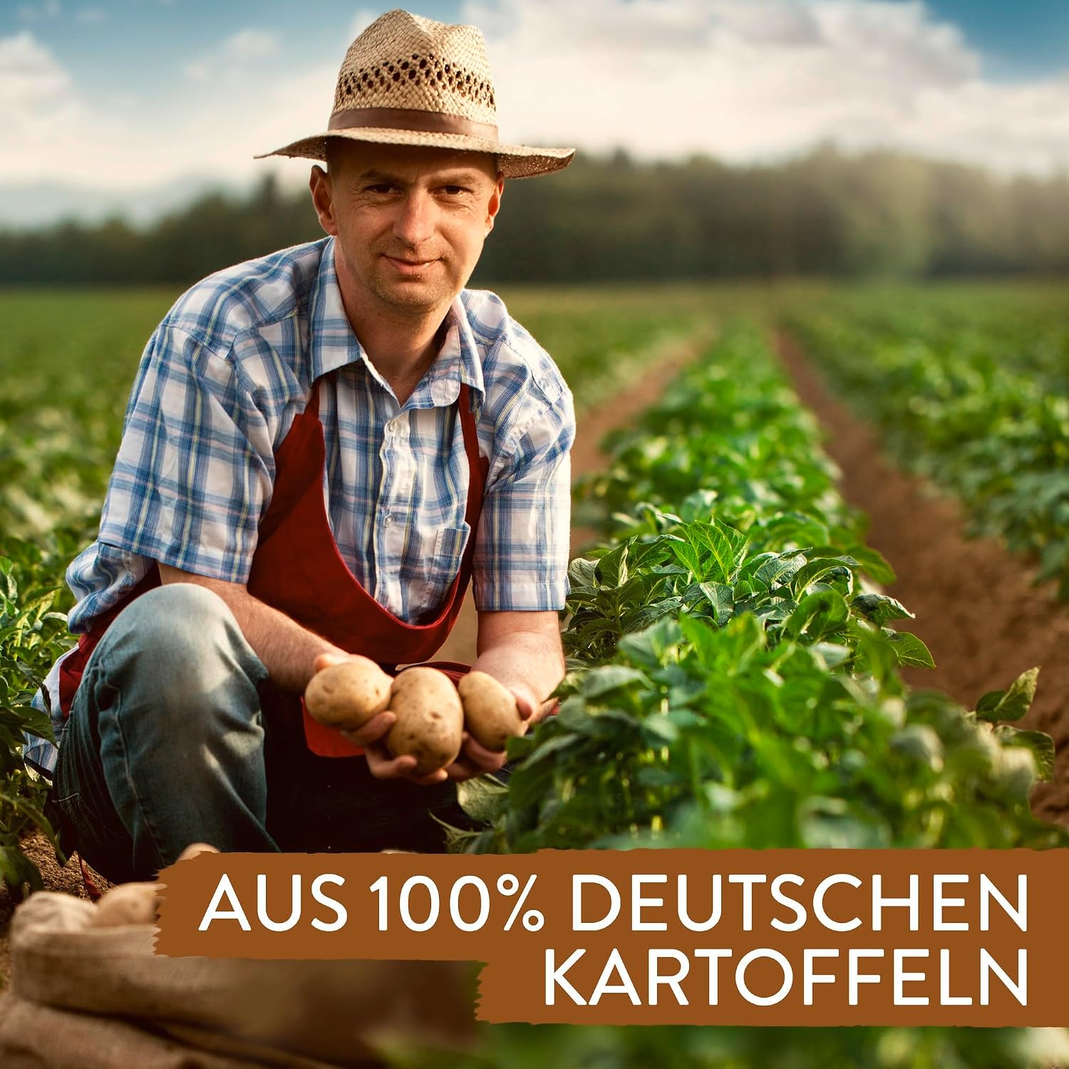 Detalle de Pfanni Stampf Kartoffeln 6x183 g – schnelles Stampfkartoffel-Gericht aus 100% deutschen Kartoffeln