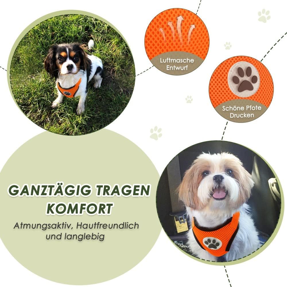 Detalle de SlowTon Hundegeschirr mit Sicherheitsgurt fürs Auto (mit 2 Karabinern, Orange, M)