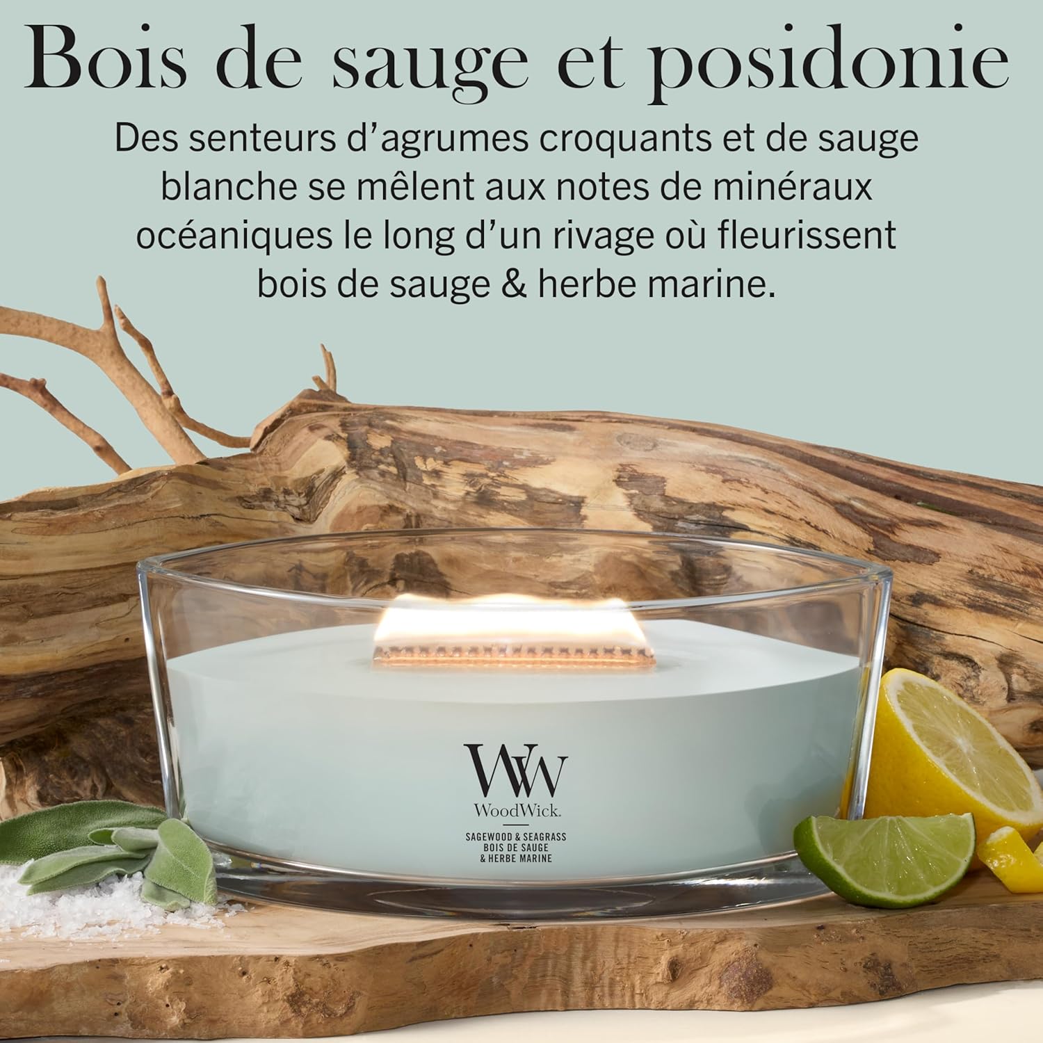 Detalle 2 de WoodWick Bougie parfumée Ellipse Sagewood & Seagrass – 453 g