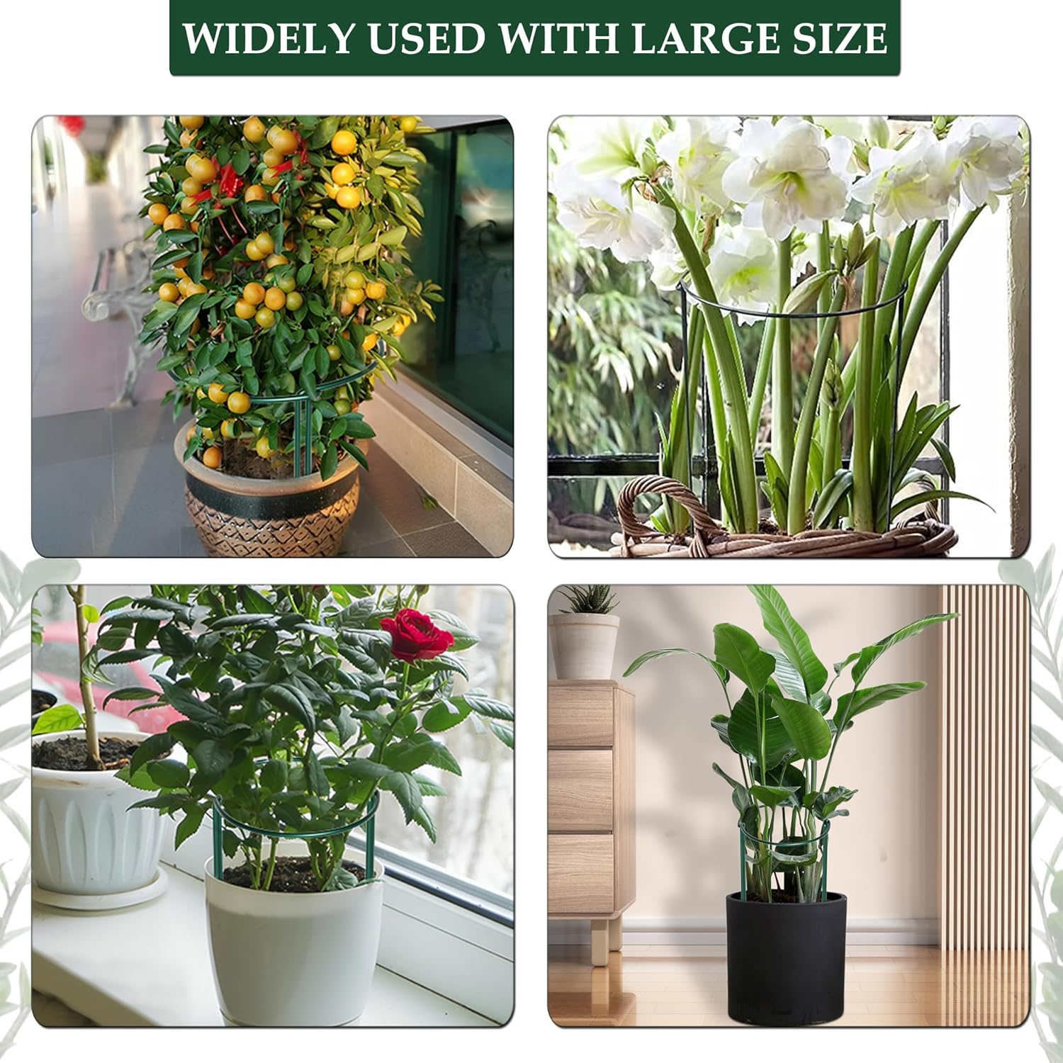Detalle de 10pcs 25x60cm Plant Supports: Thicker 4mm Garden Stakes for Tall Perennials (Green, Weatherproof)