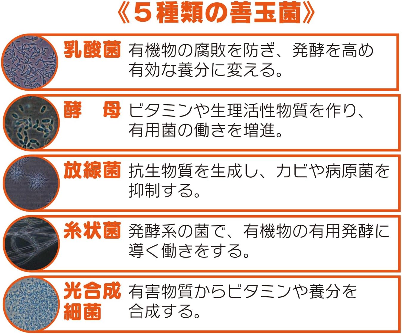 Detalle 2 de トーラス 善玉ドリンク 愛犬・愛猫用サプリメント 100ml