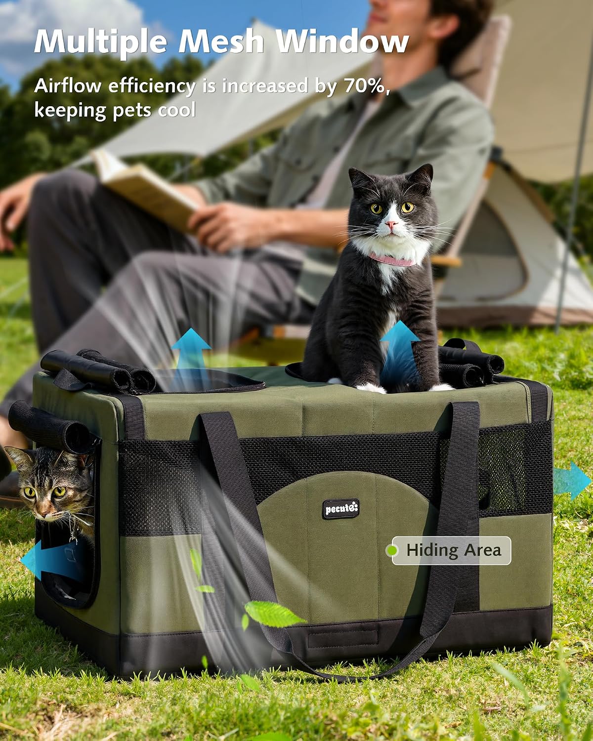 Detalle de Pecute Katzentransportbox für 2 Katzen (faltbar) – Transporttasche mit stabilem Edelstahlrahmen, Dunkelgrün