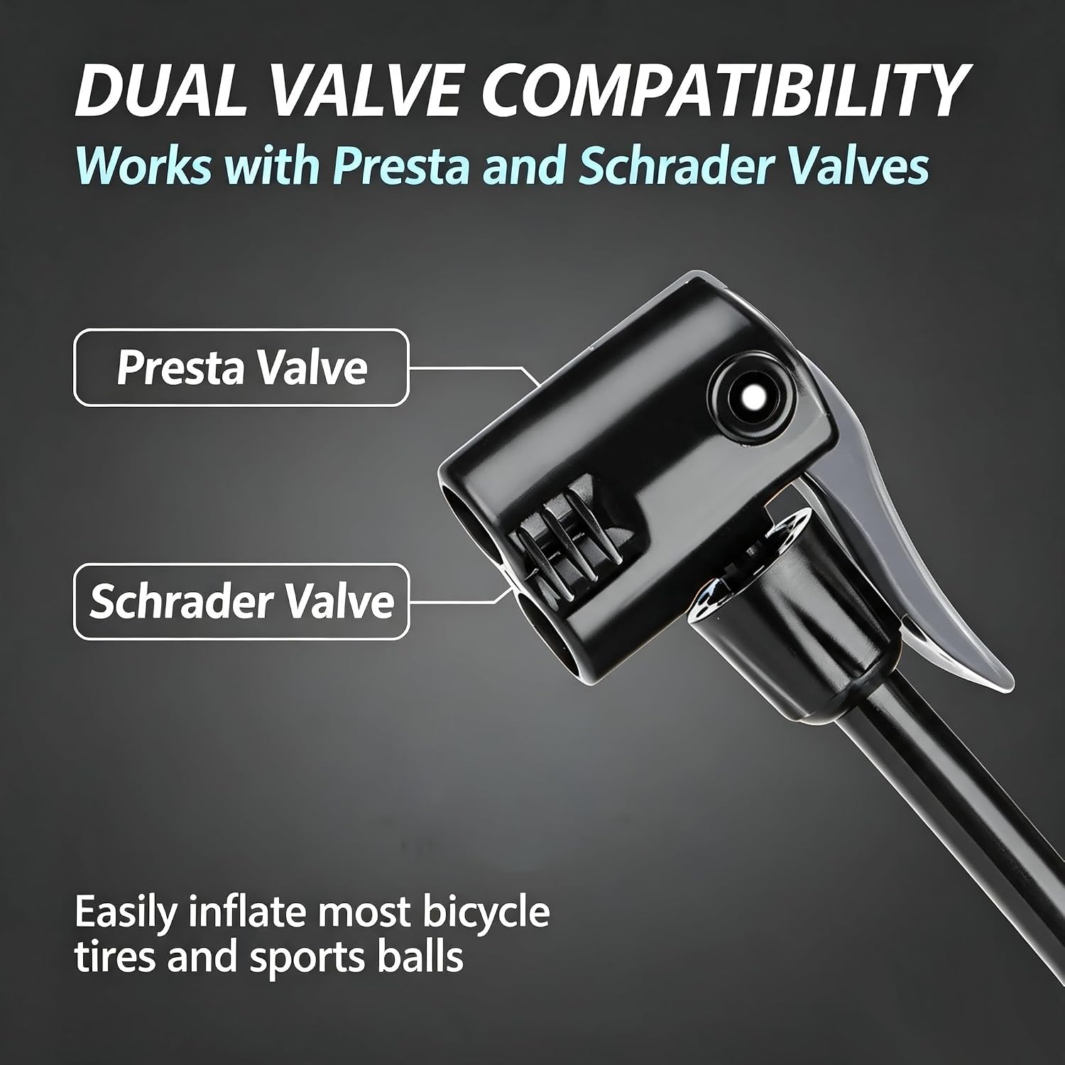 Detalle de Portable Bike Pump for Presta and Schrader Valves