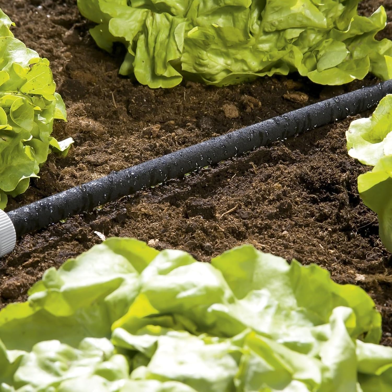 Thumbnail 2 de Gardena Perl-Regner: Wassersparender Schlauchregner für Beete und Reihen